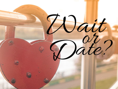 Wait or Date?  Dating and Purity Workshops / Retreat