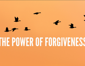 (February) The Power of Forgiveness: A 4-Week Unit on the Power of the Words "I Forgive You"